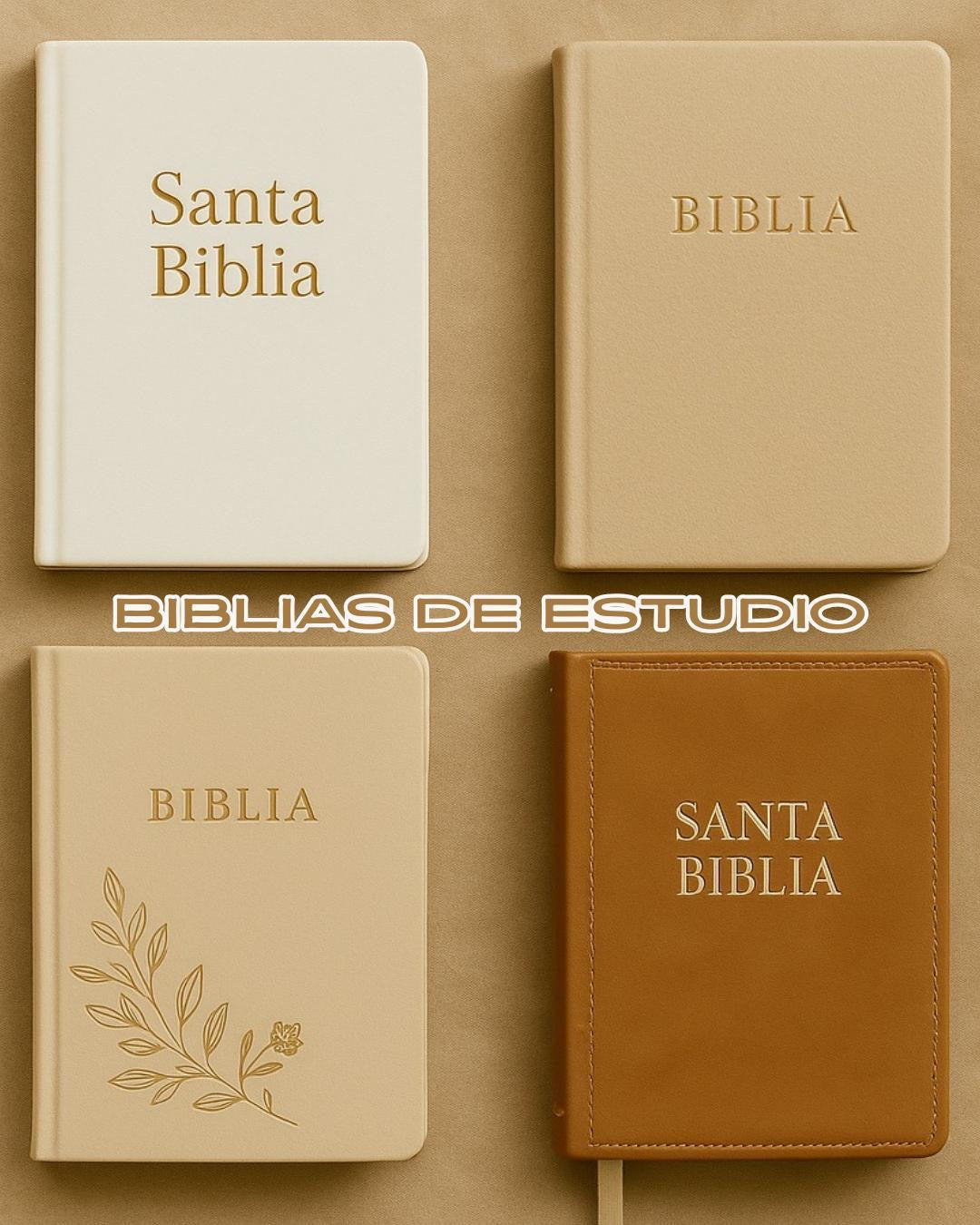 BIBLIAS ESTUDIO